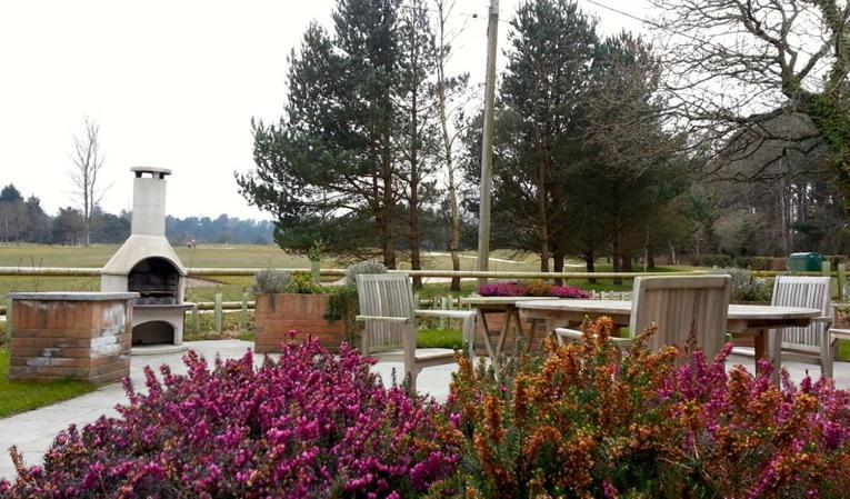 The Dorset Resort East Stoke  エクステリア 写真